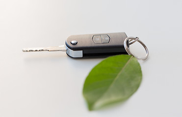 Image showing close up of car key and green leaf