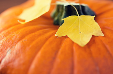 Image showing close up of pumpkin and autumn leaves