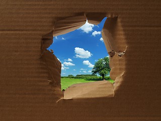 Image showing Cardboard with hole