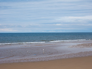 Image showing Sea beach shore