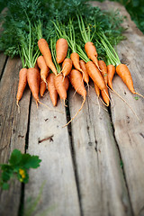 Image showing Fresh carrots bunch on rustic wooden background