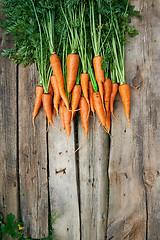 Image showing Fresh carrots bunch on rustic wooden background