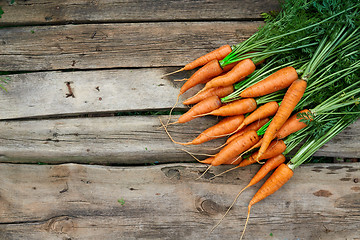 Image showing Fresh carrots bunch on rustic wooden background