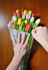 Image showing hand keeps a bouquet of tulips 