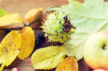 Image showing close up of autumn leaves, fruits and berries