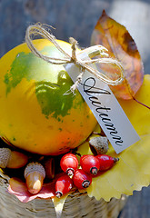 Image showing Autumn  basket with fruits and leaves