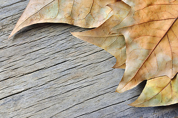 Image showing Autumn leaves on  wooden table