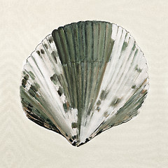 Image showing sea shell in pastel colors - oil painting