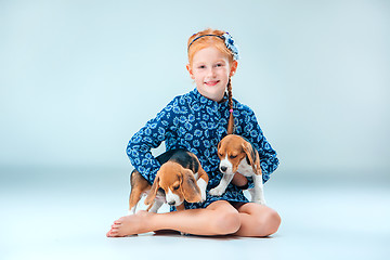 Image showing The happy girl and two beagle puppie on gray background