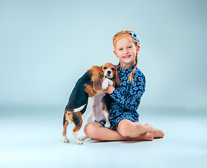 Image showing The happy girl and two beagle puppie on gray background