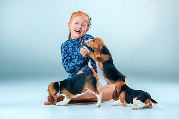 Image showing The happy girl and beagle puppies on gray background