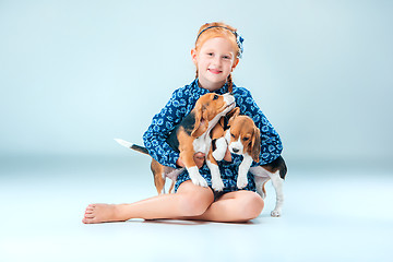 Image showing The happy girl and two beagle puppie on gray background