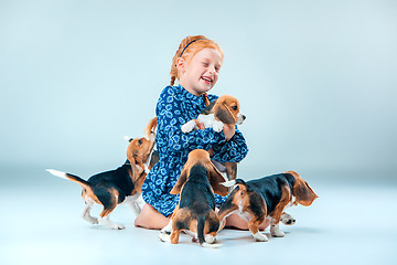 Image showing The happy girl and beagle puppies on gray background