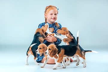 Image showing The happy girl and beagle puppies on gray background