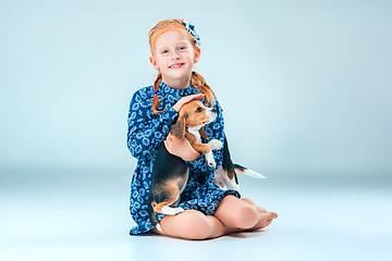 Image showing The happy girl and a beagle puppie on gray background