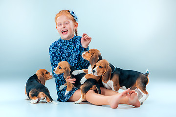 Image showing The happy girl and beagle puppies on gray background