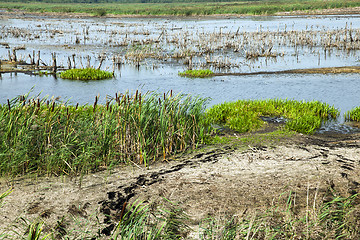 Image showing small swamp, lake  