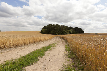 Image showing Rural paved road  