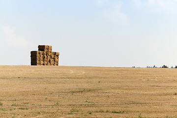 Image showing square stack straw  
