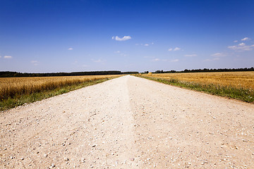 Image showing rural road ,  spring 