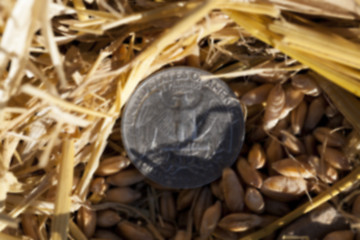 Image showing coin in the straw  