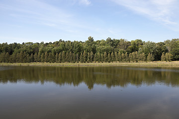 Image showing swamp, the end of summer  