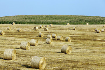 Image showing haystacks in a field of straw  