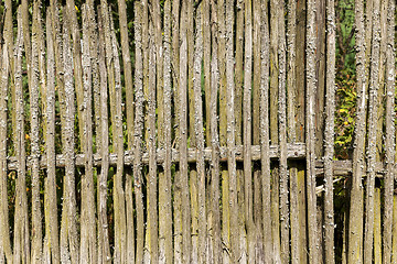 Image showing fence of twigs 