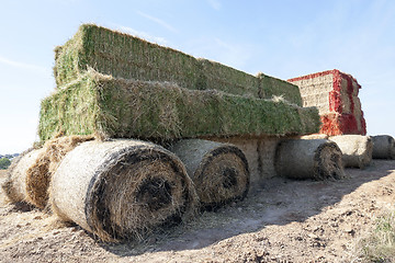 Image showing Tractor straw, close-up  