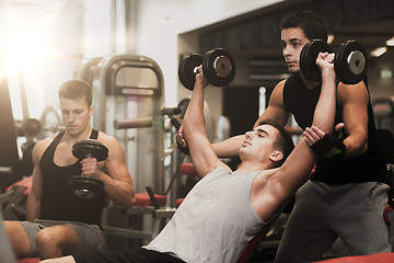 Image showing group of men with dumbbells in gym