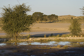 Image showing Confluence