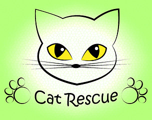 Image showing Cat Rescue Means Pet Kitty And Saving