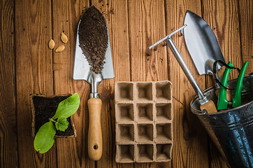 Image showing Sprouts and the garden tool, the top view