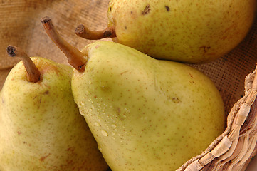 Image showing bartlett pears horizontal