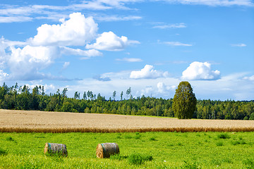 Image showing beautiful summer landscape