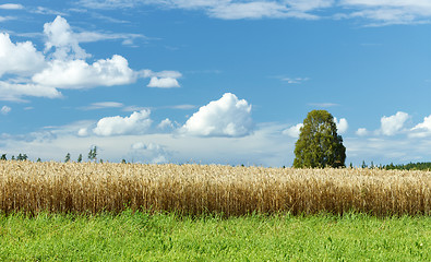 Image showing beautiful summer landscape