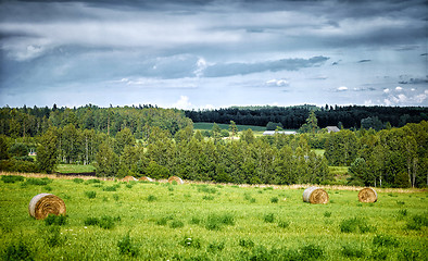 Image showing summer landscape