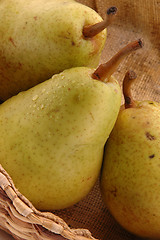 Image showing bartlett pears vertical