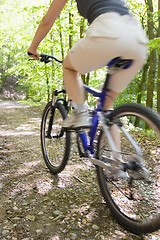 Image showing Woman riding bicycle