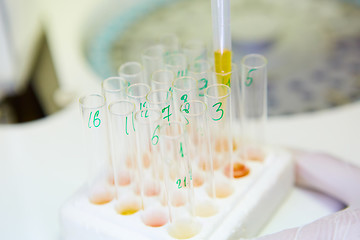 Image showing pipette dropping sample into a test tube,abstract science background