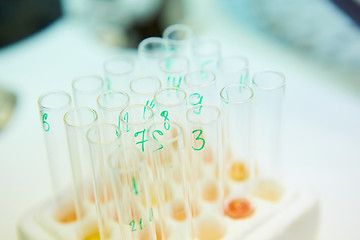 Image showing pipette dropping sample into a test tube,abstract science background