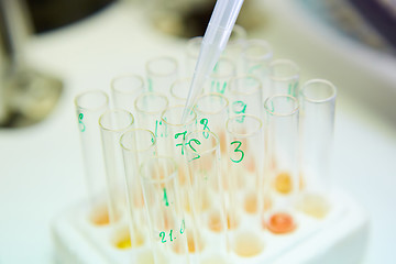 Image showing pipette dropping sample into a test tube,abstract science background