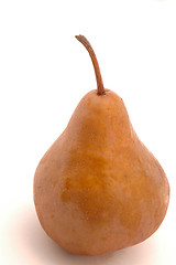 Image showing one bosc pear