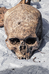 Image showing Skeleton remains of a buried unknown victim