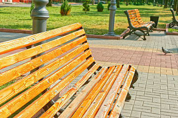 Image showing Bench in town square