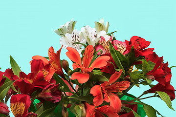 Image showing bouquet of flowers on a light green background