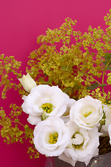 Image showing White tulip gentians and alchemilla mollis on pink