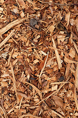 Image showing Bark, leaves and wood chippings background