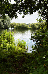 Image showing Lake framed by trees on a shady bank