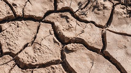 Image showing Dry soil closeup